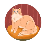 プロフィール